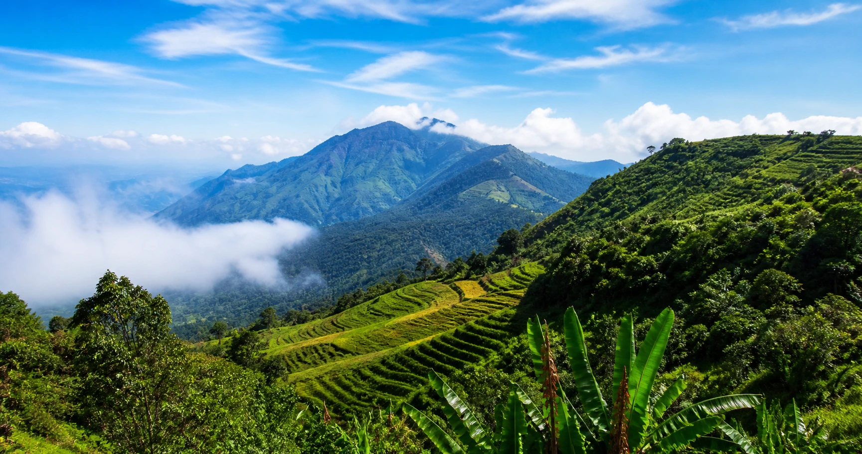 Discovering albie hills: A Hidden Gem in the Philippines - image 1